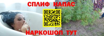 мяу мяу кристалл Тара