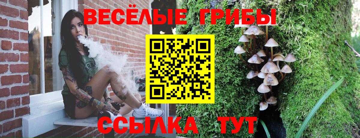Галлюциногенные грибы Psilocybe  Вход с VPN  Новоалтайск  Галлюциногенные грибы Psilocybine cubensis 