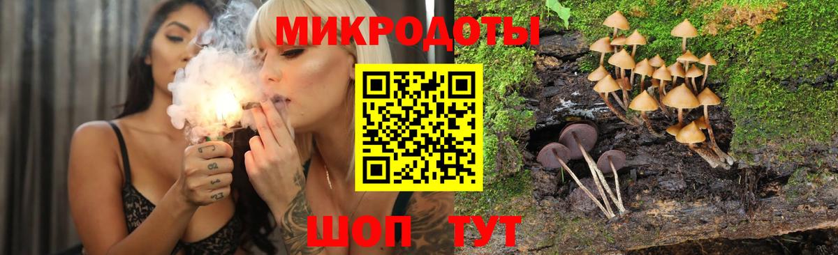Галлюциногенные грибы GOLDEN TEACHER Новоалтайск